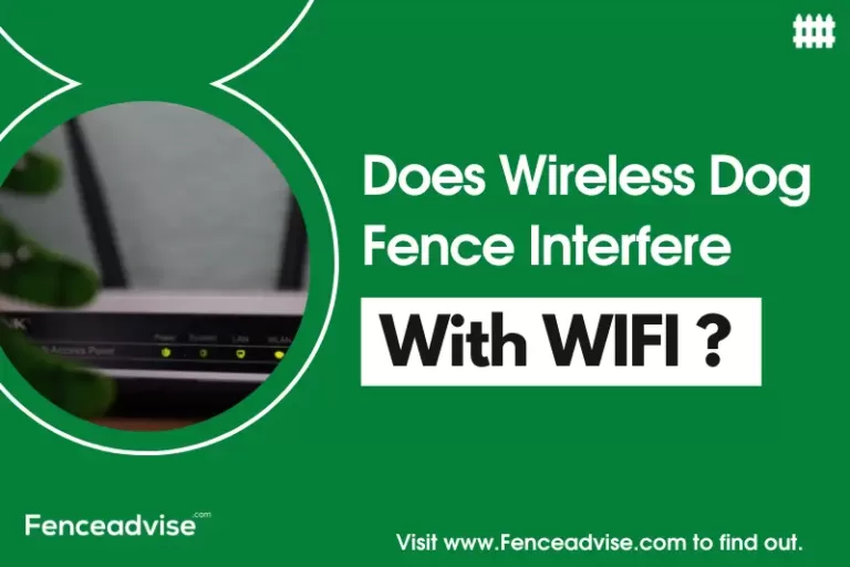 Does Wireless Dog Fence Interfere with WIFI? (Explained)