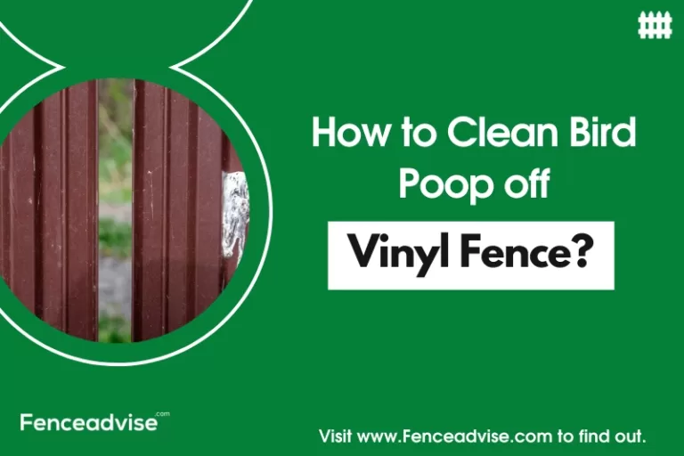 How to Clean Bird Poop off Vinyl Fence? (5 Easy Tips)