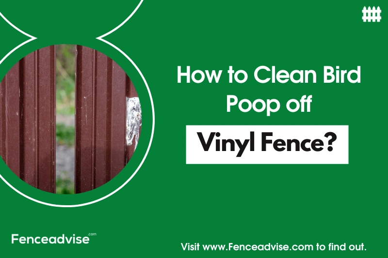 How to clean bird poop off vinyl fene