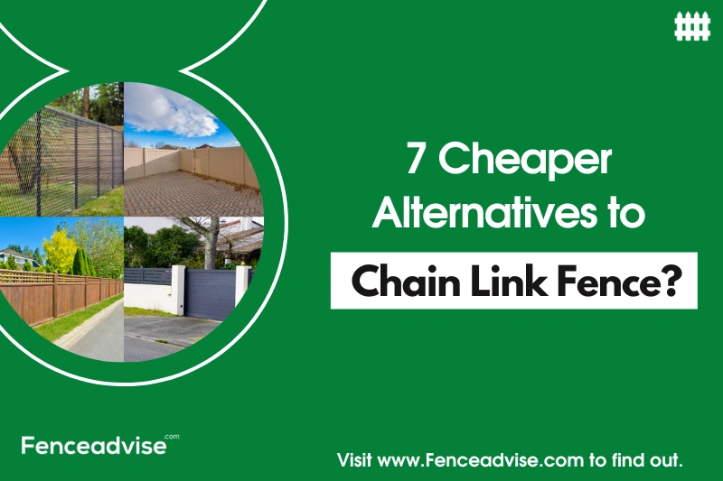 7 Cheaper Alternative To Chain Link Fence (Explained)