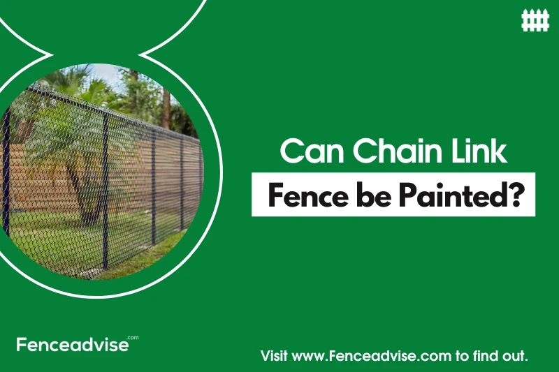 Can Chain link fence be painted