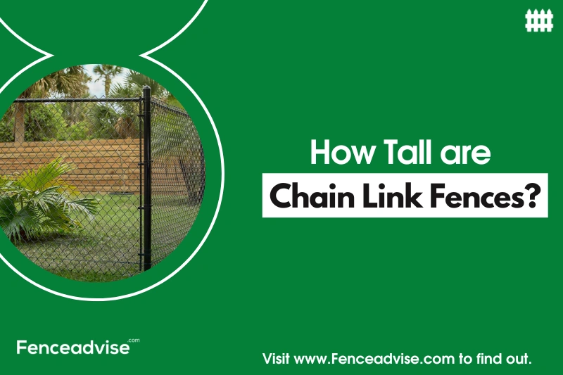How Tall Are Chain Link Fences? (Explained)