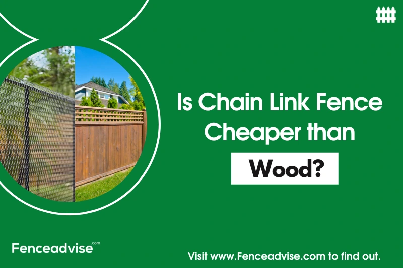 Is Chain Link Fence Cheaper than Wood? (Explained)