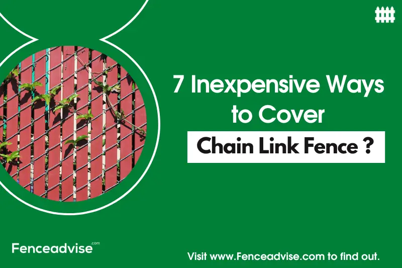 Inexpensive way to cover chain link fence
