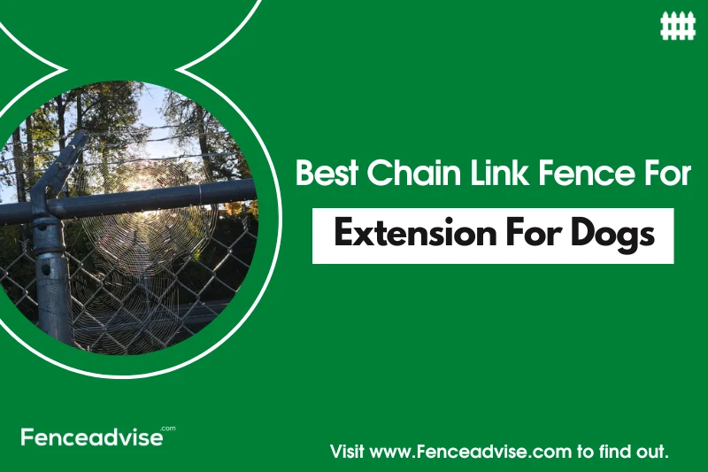 Best Chain Link Fence Extension For Dogs