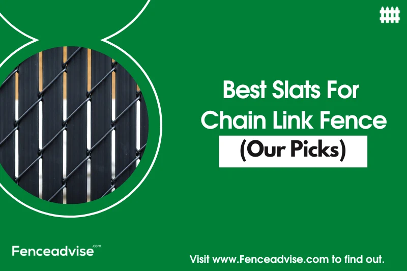 7 Best Slats For Chain Link Fence (Our Picks)
