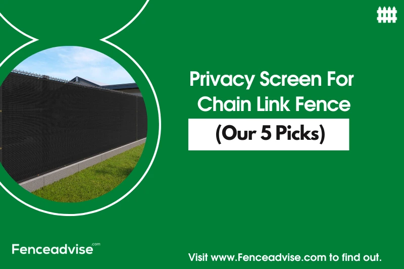 Privacy Screen For Chain Link Fence (Our 5 Picks)