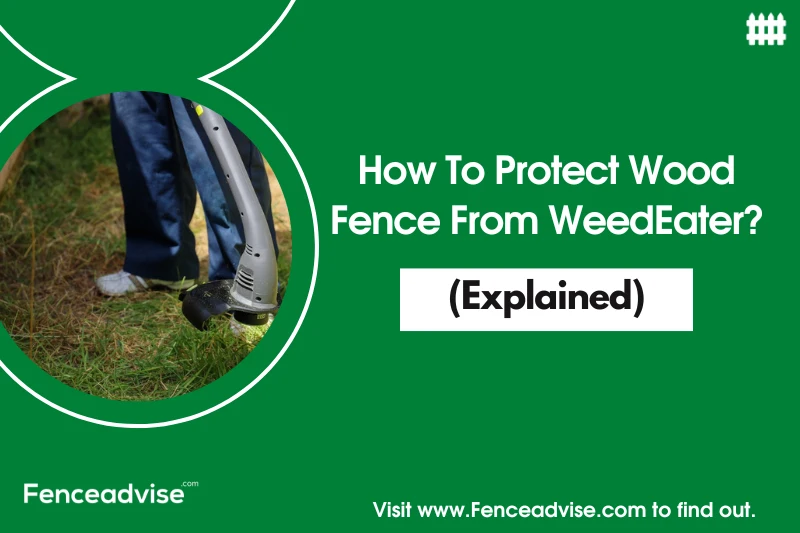 How To Protect Wood Fence From WeedEater