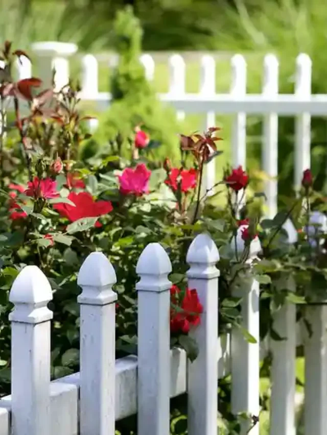 10 Beautiful Privacy Fence Ideas for Your Outdoor