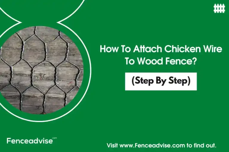 How To Attach Chicken Wire To Wood Fence? (Step By Step)